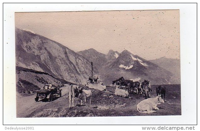 Juil15  6469644   Route Des Eaux Bonne à Argelès   Le Col De Tortes - Eaux Bonnes