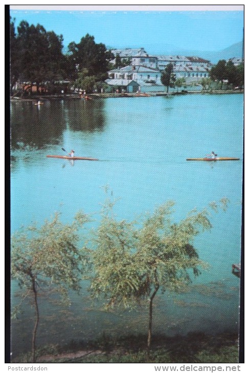 Georgia. Batumi - Old Postcard   USSR - Rowing -  1960s - Rowing