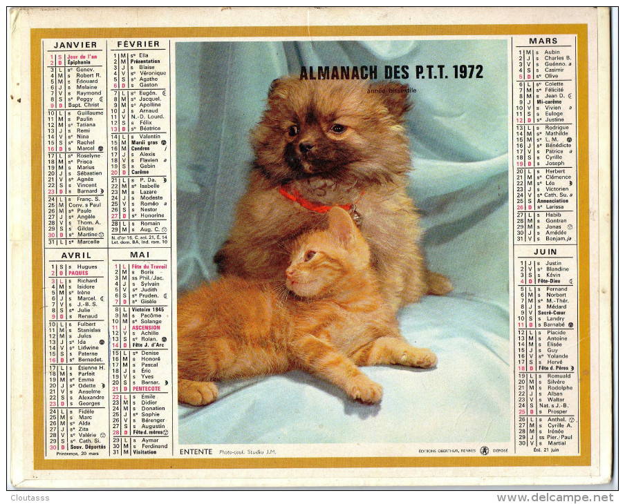 ALMANACH P TT 1972)   GERS-ANNEE BISSEXTILE - CHIEN ET CHAT: CALINERIES ,ENTENTE-PHOTOS STUDIO J M  OBERTHUR - Calendars