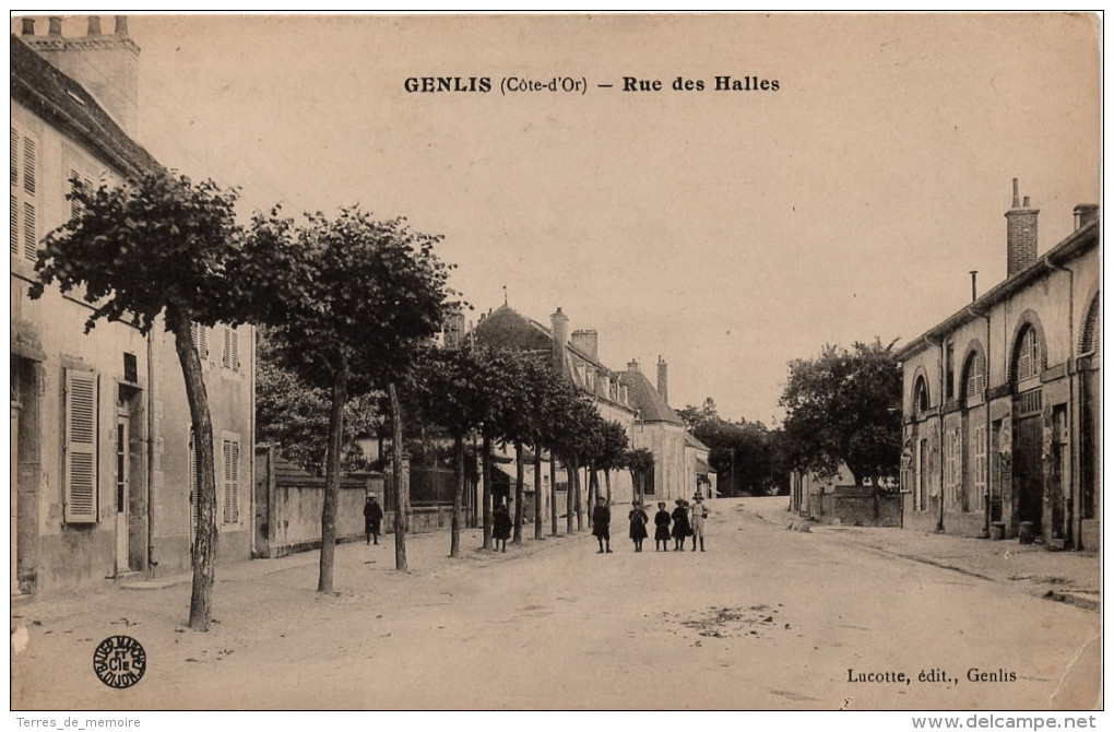 Genlis : Rue Des Halles (Editeur Lucotte - Bauer, Marchet Et Cie, Dijon) - Autres & Non Classés