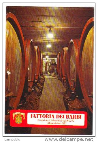 Fattoria Dei Barbi A Montalcino (Siena) - Cantina Di Invecchiamento - Fattorie