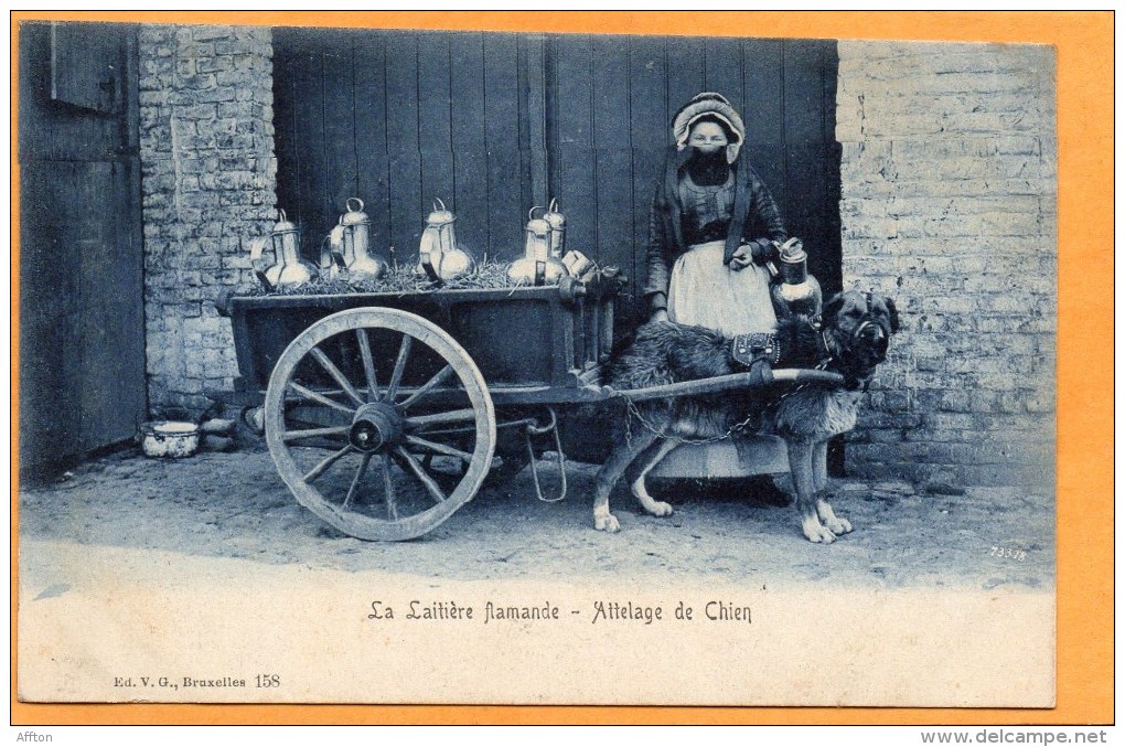 La Laitiere Flamande 1905 Postcard - Old Professions