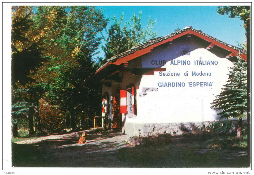 # CARTOLINA EMILIA ROMAGNA SESTOLA (MO) – PASSO DEL LUPO – GIARDINO ESPERIA – RIFUGIO C.A.I. MODENA VIAGGIATA 1988 VERSO - Altri & Non Classificati