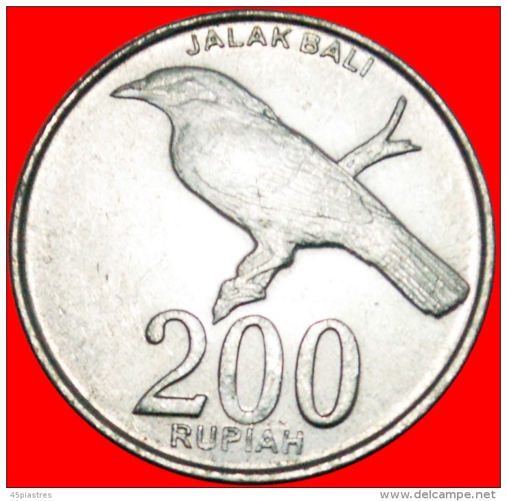 * BIRD: INDONESIA ★ 200 RUPIAH 2003! Not 2008! LOW START &#9733; NO RESERVE! - Indonésie