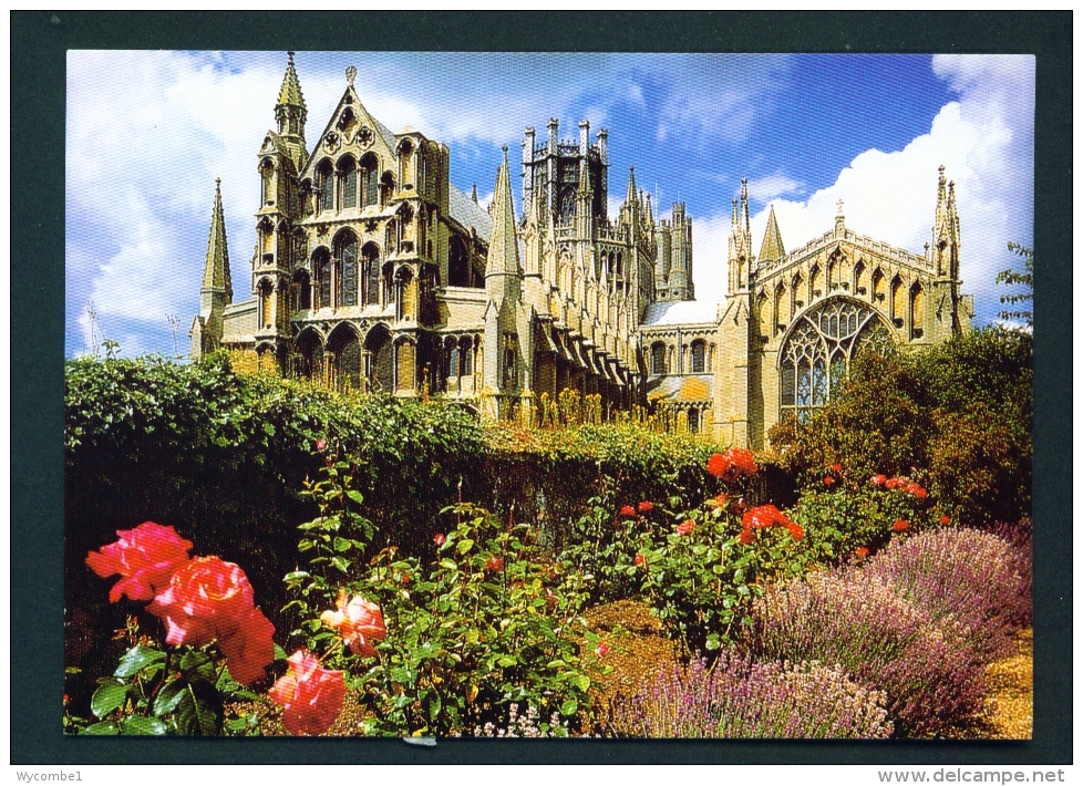 ENGLAND  -  Ely Cathedral  Used Postcard As Scans - Ely