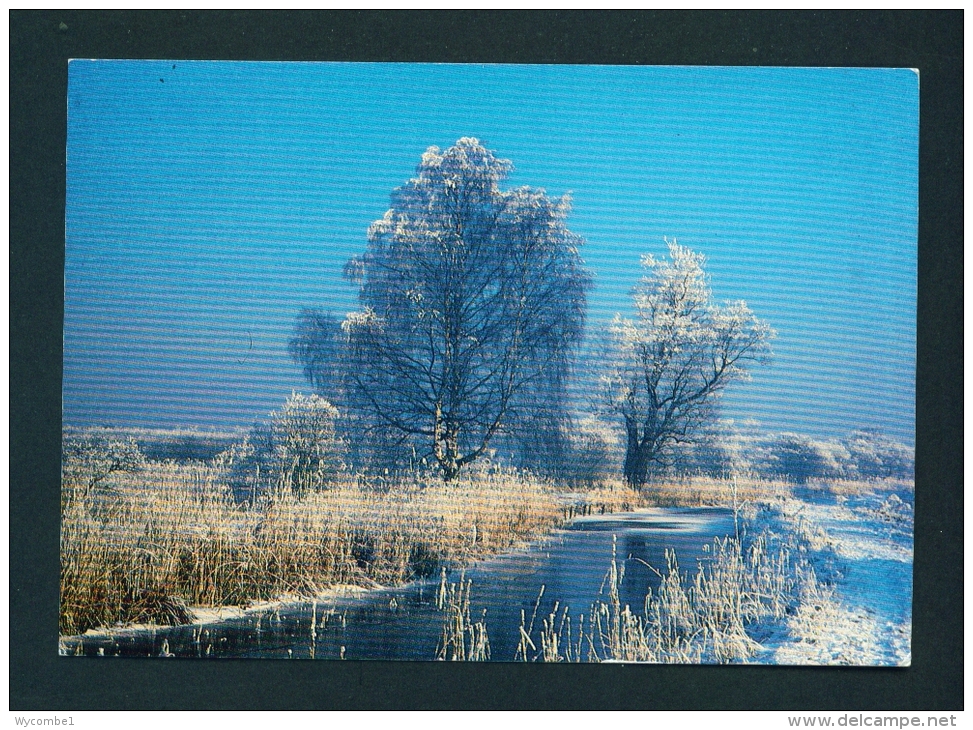 ENGLAND  -  Wicken Fen  Used Postcard As Scans - Otros & Sin Clasificación