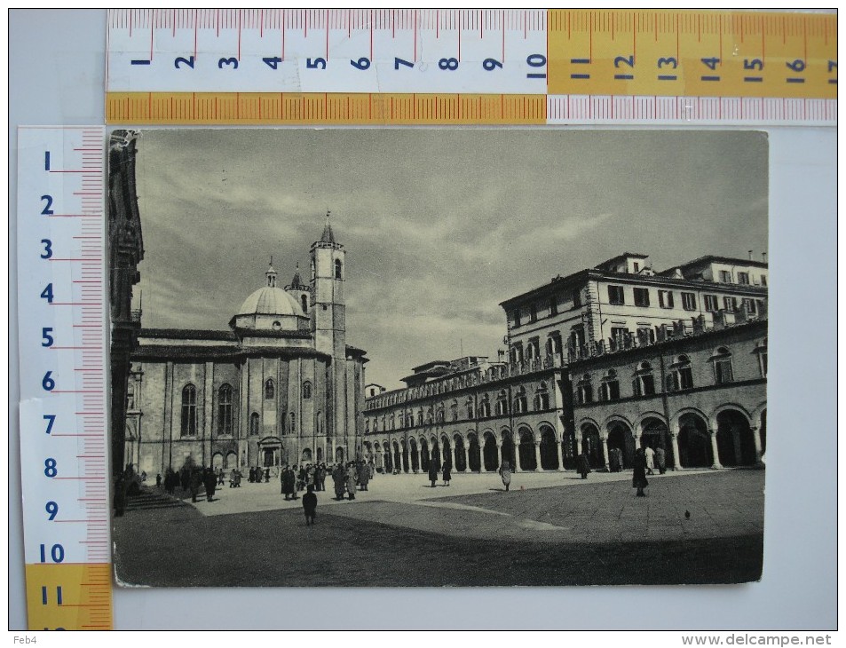 ASCOLI PICENO PIAZZA DEL POPOLO  Animata - FG - VIAGGIATA 1955 *(MAR-2374 - Ascoli Piceno