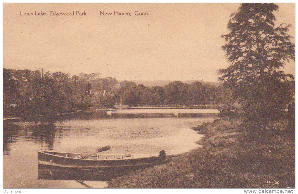 Estados Unidos--New Haven--Lotus Lake--Edgewood Park - New Haven