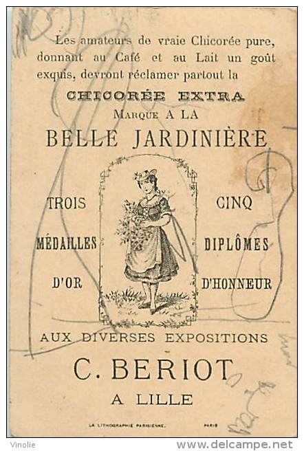 DO 63-025 - CHICOREE C. BERIOT LILLE LA BELLE JARDINIERE SUEDE ACONIT - Thé & Café