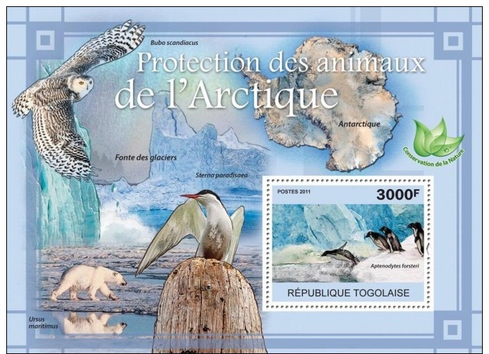 Imperforated TG11109b TOGO 2011 Protection Of Animals In Arctic. MNH - Togo (1960-...)