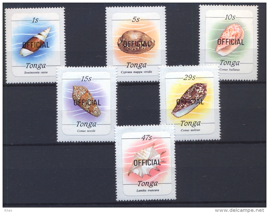 TONGA Shells (adhesive) - Tonga (1970-...)