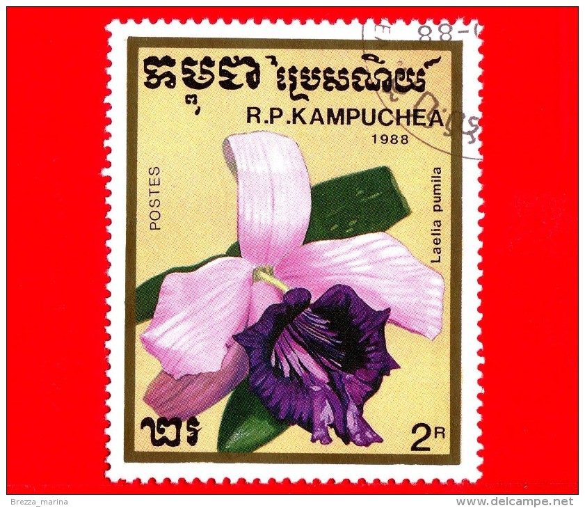 KAMPUCHEA - Cambogia - 1988 - Fiori - Orchidee - Cattleya Pumila (syn.Laelia Pumila) - 2 - Kampuchea