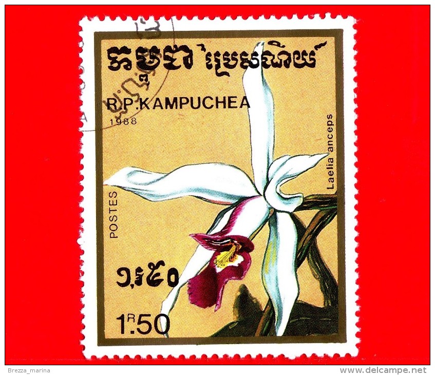 KAMPUCHEA - Cambogia - 1988 - Fiori - Orchidee - Laelia Anceps - 1.50 - Kampuchea