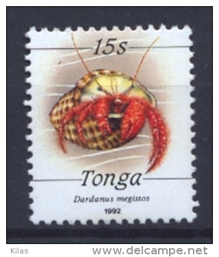 TONGA Shells - Tonga (1970-...)