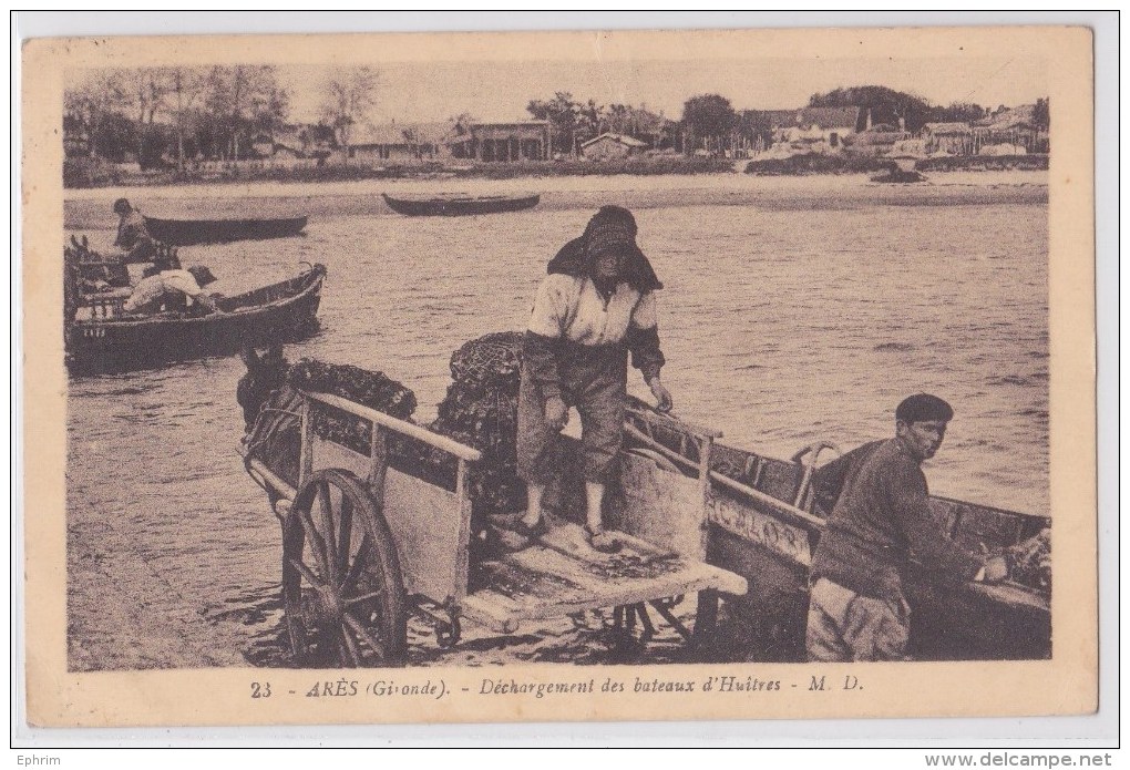 Arès (Gironde) - Déchargement Des Bateaux D'Huîtres - Arès