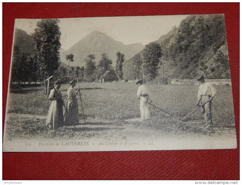 CAUTERETS  (environs) -  Au Champ De Péguère -  1907  -  (2 Scans) - Cauterets