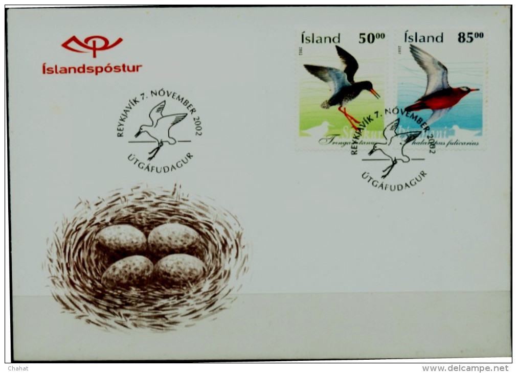 MARINE BIRDS-ICELAND-FDC-2002-SCARCE-FC-62-2 - Marine Web-footed Birds