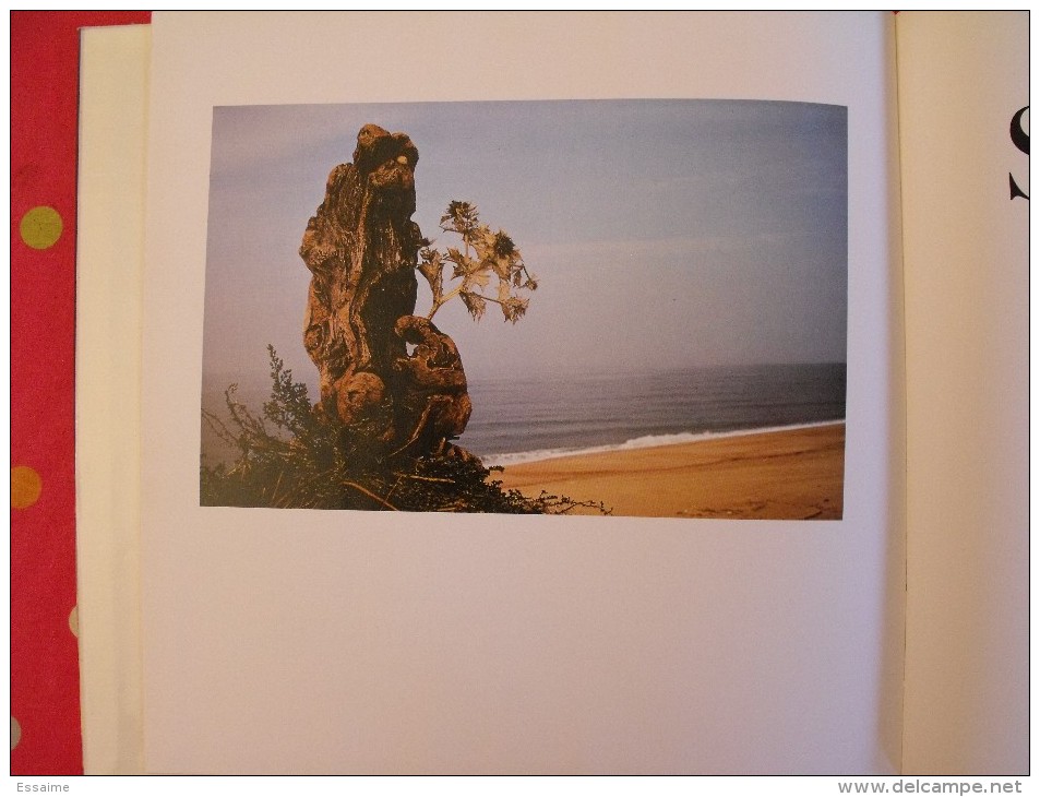 Sculptures D'océan Par  Alain Mazeran-Hirigyen 1974..130 Pages. Superbes Photos. - Fotografie