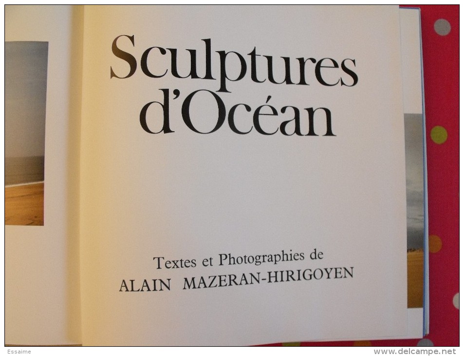 Sculptures D'océan Par  Alain Mazeran-Hirigyen 1974..130 Pages. Superbes Photos. - Photographs