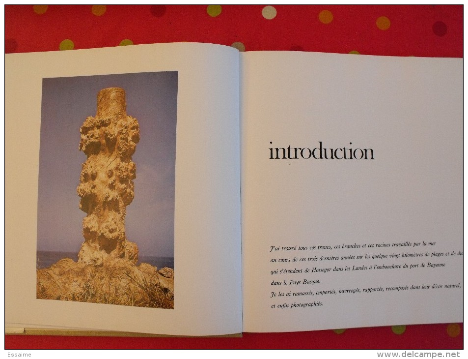 Sculptures D'océan Par  Alain Mazeran-Hirigyen 1974..130 Pages. Superbes Photos. - Fotografie