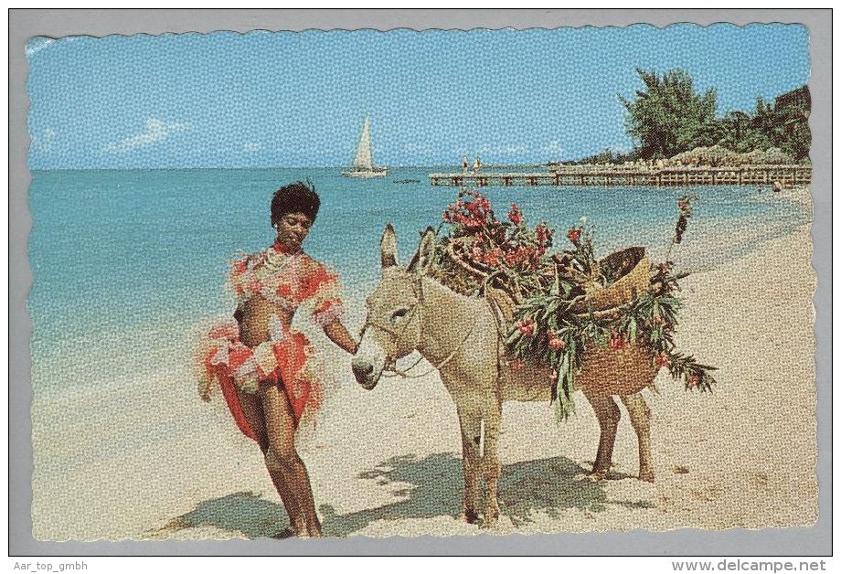 Karibik Jamaica 19??-10-15 Postkarte Mit OAT F8 Violett Nach Norwegen - Jamaique (1962-...)