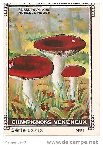 CHROMOS NESTLE - CHAMPIGNONS VENENEUX - RUSSULE ROUGE - Nestlé