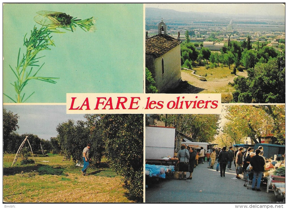 LA FARE LES OLIVIERS : Aux Chants Des Cigales - La Chapelle - Le Marché - Les Cueillette Des Olives - Autres & Non Classés