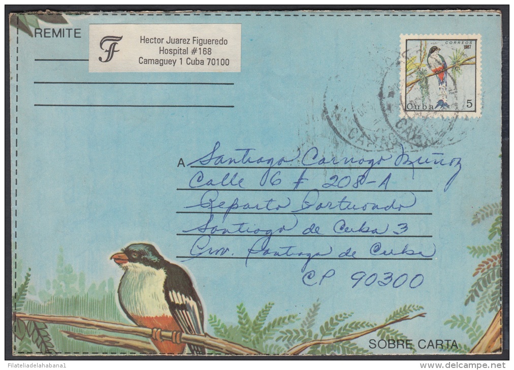 1987-EP-149 CUBA 1987. Ed.203. ENTERO POSTAL. POSTAL STATIONERY. TOCOLORO. AVES. BIRDS. CAMAGUEY. USED. - Covers & Documents