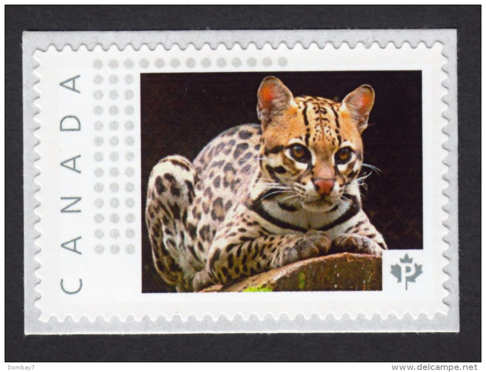 OCELOT -DWARF LEOPARD. Small Wild Cat. Picture Postage MNH Stamp Canada 2015 [p15/7ct2/2] - Big Cats (cats Of Prey)