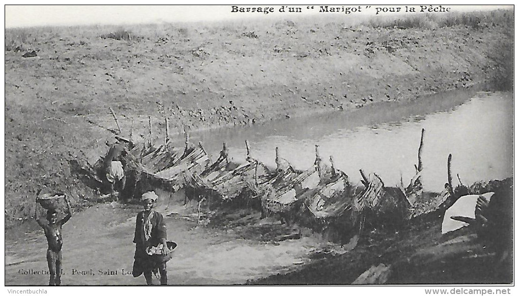 Afrique Occidentale Française Mauritanie - Barrage D'un "Marigot" Pour La Pêche - Mauritania