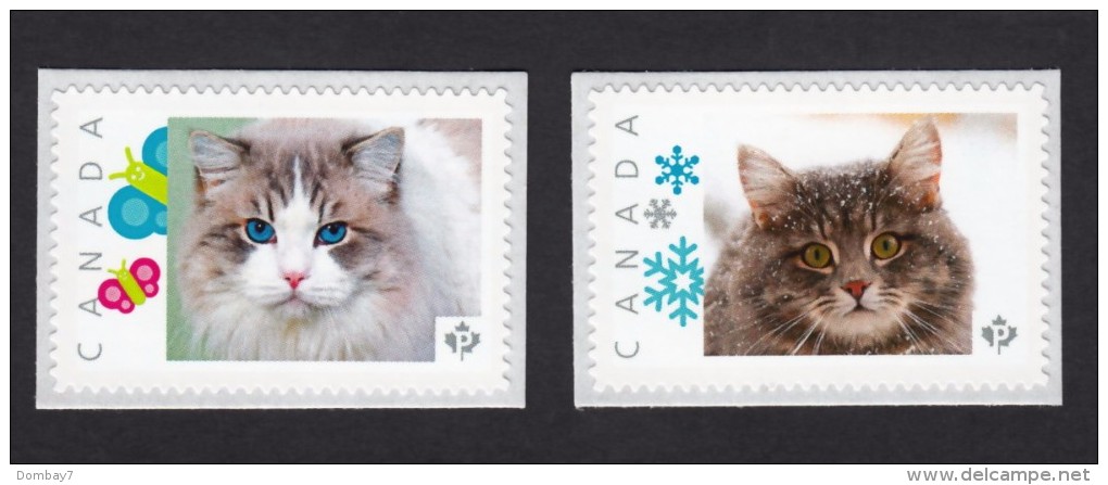 CAT - OJOS AZULES &  SIBERIAN Domestic Cat Breeds Picture Postage MNH Pair Of Stamps Canada 2015 [p15/7dct2] - Domestic Cats