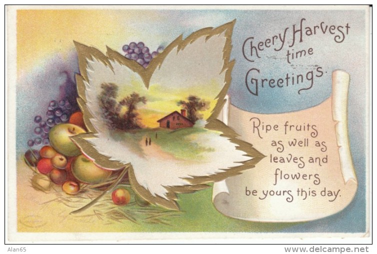 Clapsaddle Artist Signed, Cheery Harvest Time Greetings, C1900s/10s Vintage Postcard - Clapsaddle