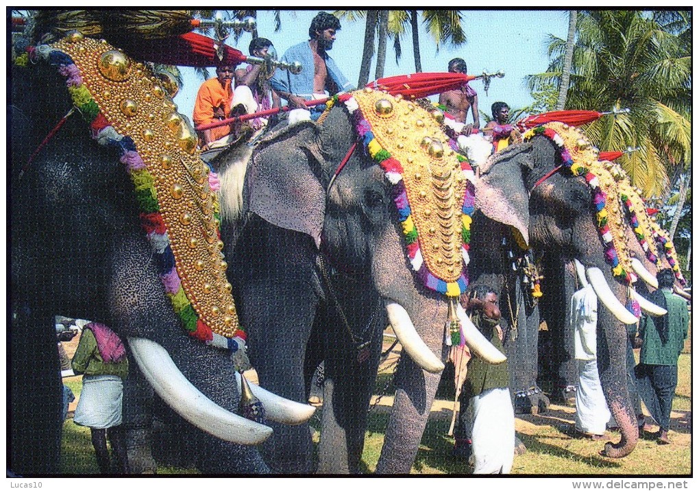 Inde  Elephants  Festival  16  X  11  Cm - India