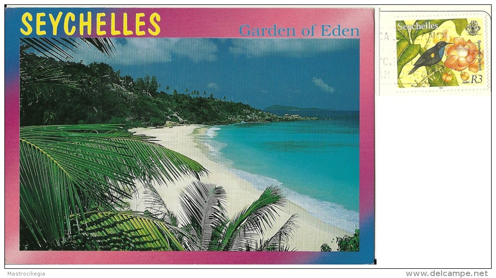SEYCHELLES  LA DIGUE  Nice Stamp Bird Theme - Seychelles