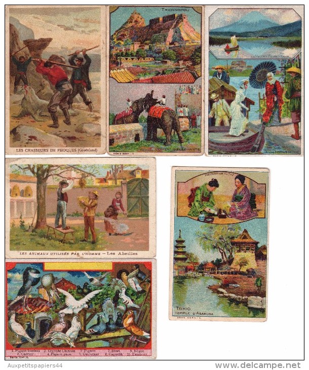 Lot 6 Chromos : Les Abeilles - Tokio - Les Pigeons - Fousy Yama - Trichinopoli - Chasseurs De Phoques - Albums & Catalogues