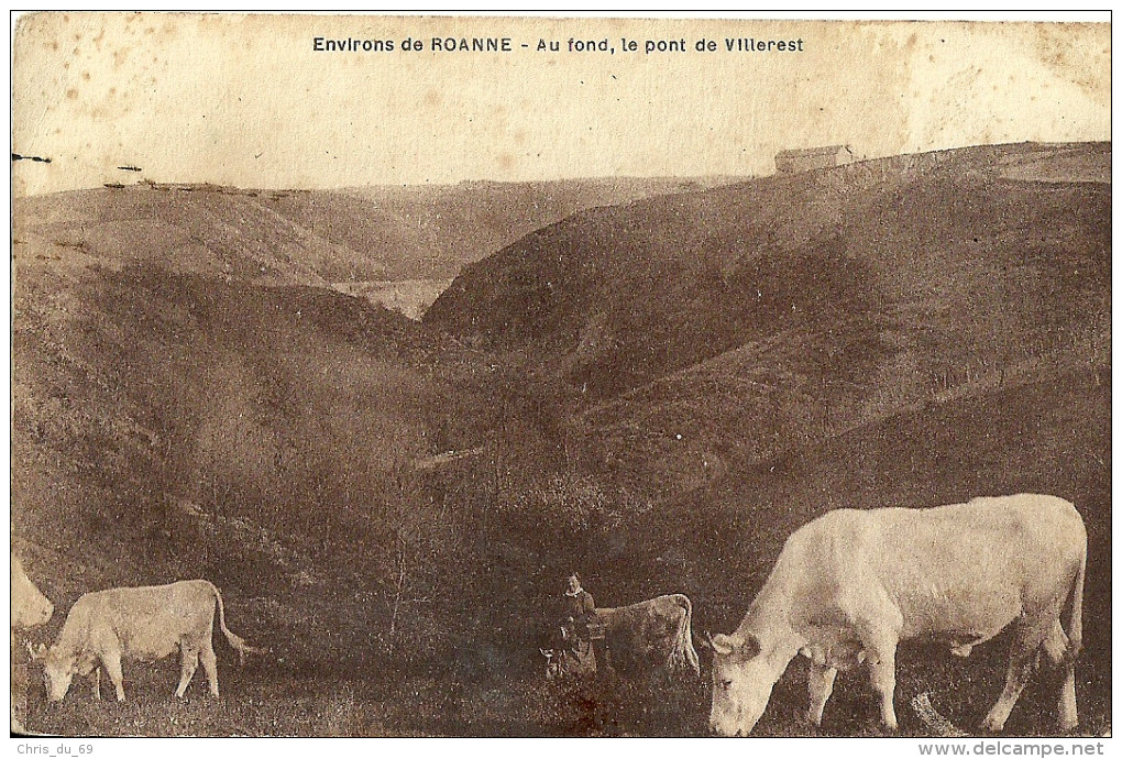 Environs De Roanne Au Fond Le Pont De Villerest - Roanne