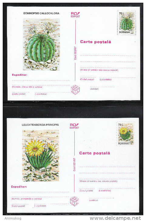 Rumänien 1997,  6 Ganzsachen, Weißes Papier, Kaktus / Romania 1997, 6 Stationaries, White Paper, Cactus - Sukkulenten