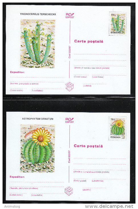 Rumänien 1997,  6 Ganzsachen, Weißes Papier, Kaktus / Romania 1997, 6 Stationaries, White Paper, Cactus - Sukkulenten
