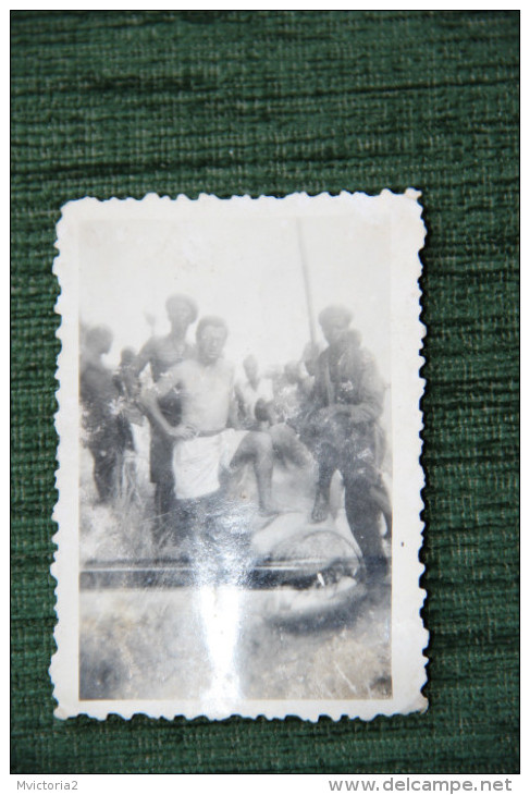 SENEGAL - 1949 - Chasseur Et Son Hippopotame - Afrika