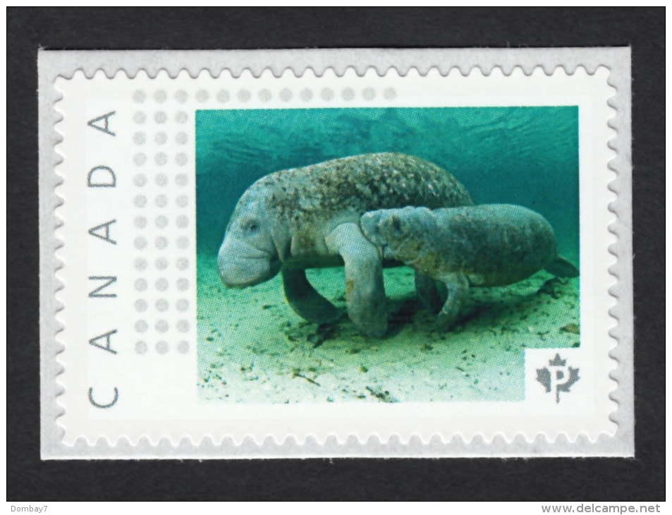 SEA COW , MANATEE  Picture Postage MNH Stamp, Canada 2015 [p15/7sn1] - Marine Life