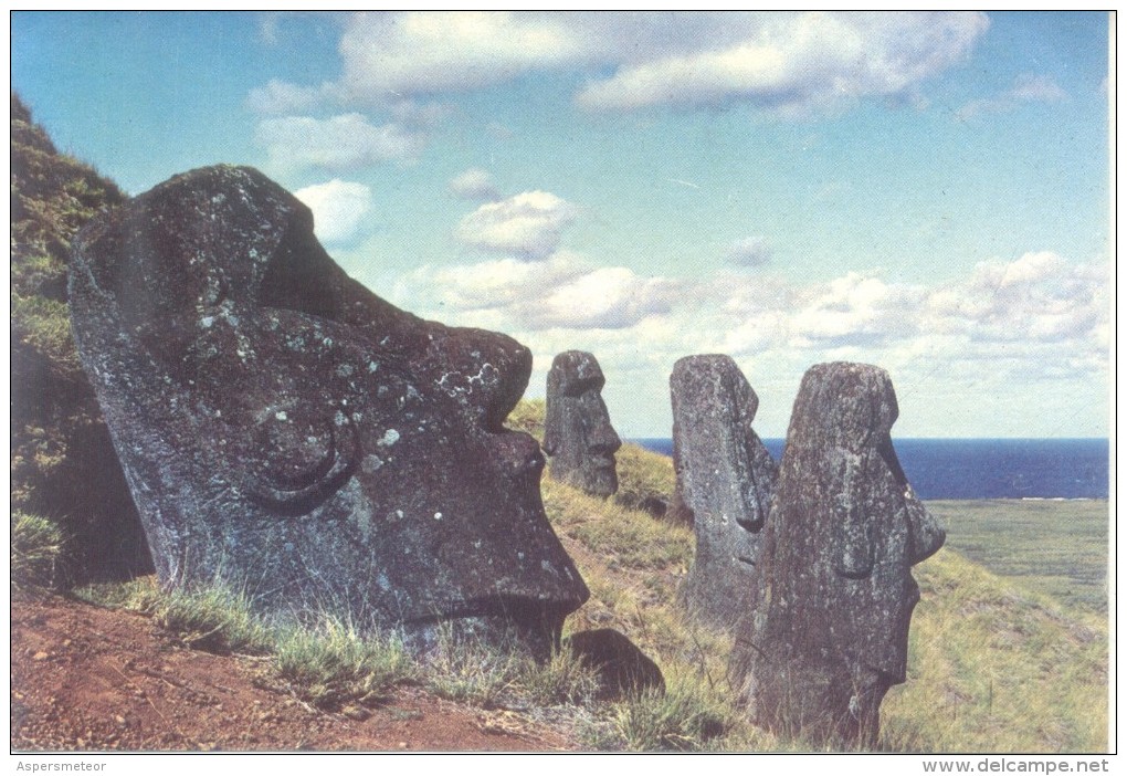 RAPA NUI - EASTER ISLAND CPSM CIRCA 1970 TBE EDITOR BADAL LIMITADA UNCIRCULATED - Rapa Nui