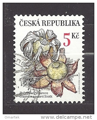 Czech Republic  Tschechische Republik  2000 Gest. Mi 260 Sc 3126a  Rare Mushrooms:  Earthstar Geastrum Pouzarii.  C.1 - Oblitérés