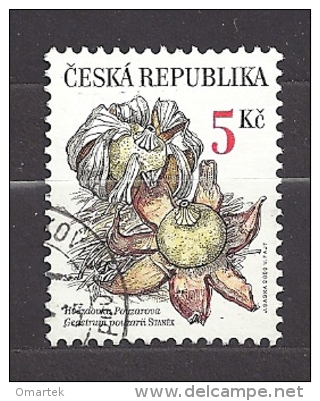 Czech Republic  Tschechische Republik  2000 Gest. Mi 260 Sc 3126a  Rare Mushrooms:  Earthstar Geastrum Pouzarii.  C.2 - Oblitérés