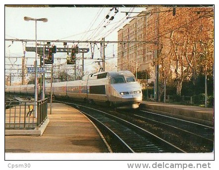 CP Trains - 13 B D R - TGV En Gare De Marseille Blancarde - Cinq Avenues, Chave, Blancarde, Chutes Lavies