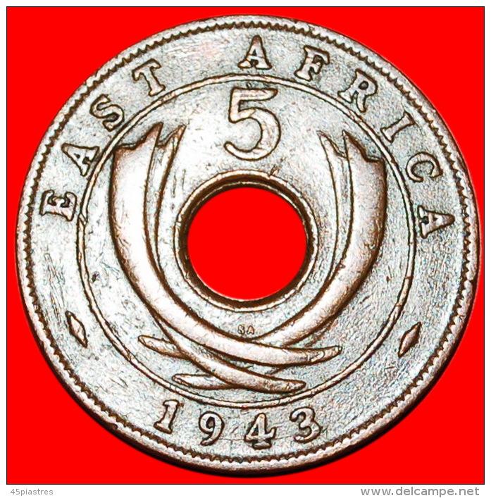 * SOUTH AFRICA: EAST AFRICA  5 CENTS 1943SA! WAR TIME (1939-1945) George VI (1936-1952) LOW START NO RESERVE! - Britische Kolonie