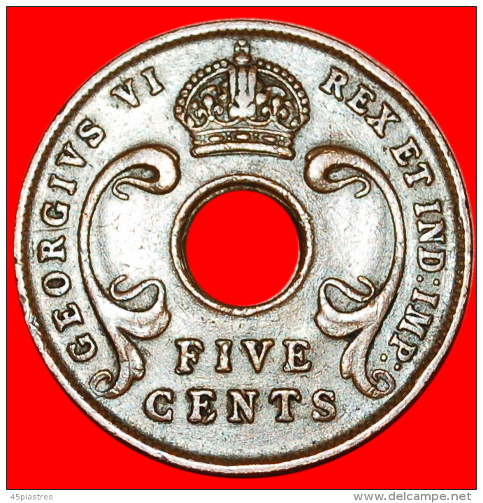 * SOUTH AFRICA: EAST AFRICA  5 CENTS 1943SA! WAR TIME (1939-1945) George VI (1936-1952) LOW START NO RESERVE! - Colonia Británica