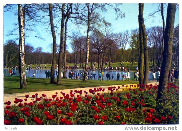 76 LE HAVRE ++ La Forêt De Montgeon;. Le Lac Aux Cygnes ++ - Forêt De Montgeon