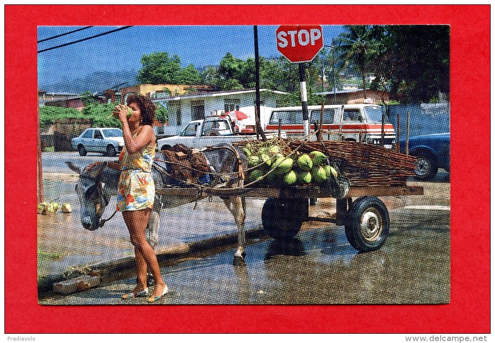 Trinidad - Local Beauty - With Donkey And Cars - Trinidad