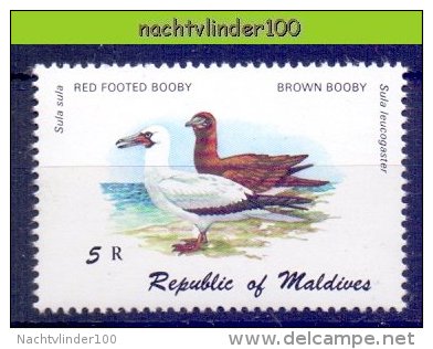 Naa2071 FAUNA VOGELS BOOBY BIRDS VÖGEL AVES OISEAUX MALDIVES 1980 PF/MNH - Marine Web-footed Birds