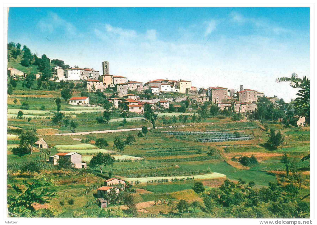 # CARTOLINA TOSCANA EGLIO – GARFAGNANA PITTORESCA VIAGGIATA 1976 VERSO MILANO  – INDIRIZZO OSCURATO PER PRIVACY CONDIZIO - Altri & Non Classificati